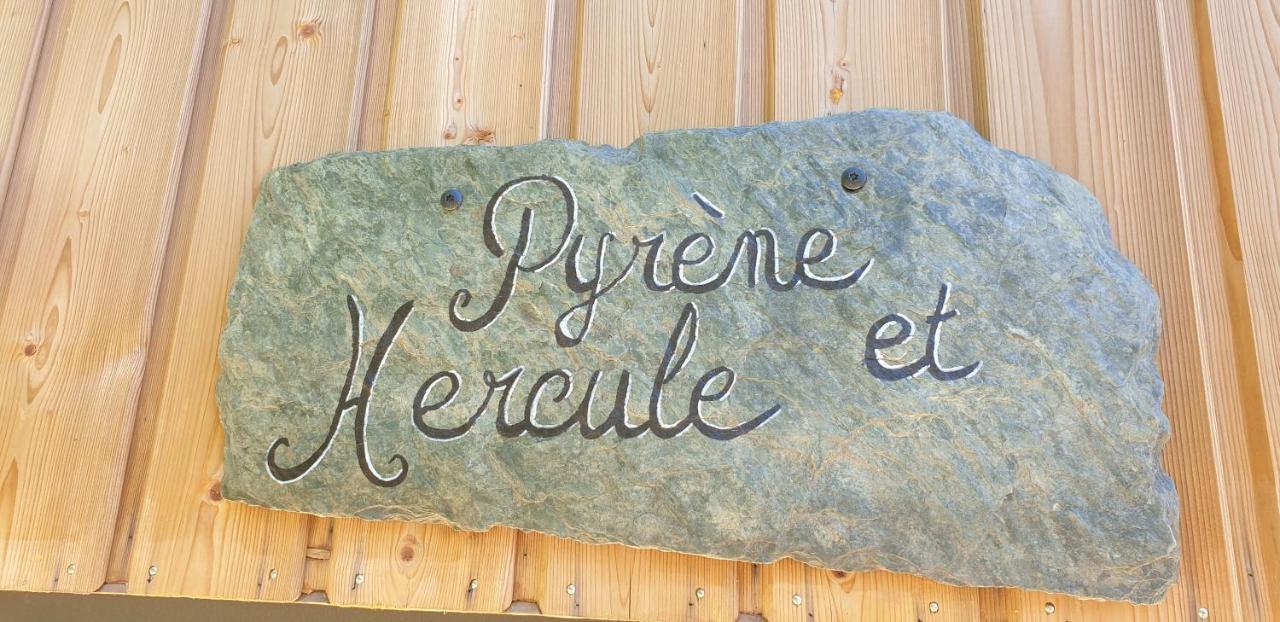 Le De Pyrene Et Hercule * Arignac